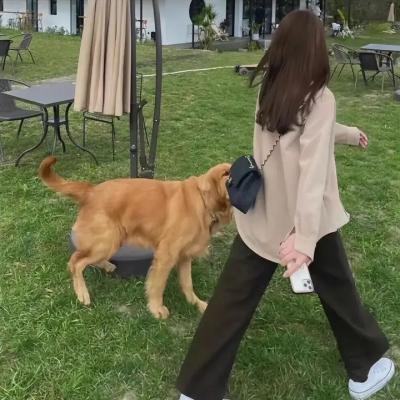 情圣兄弟